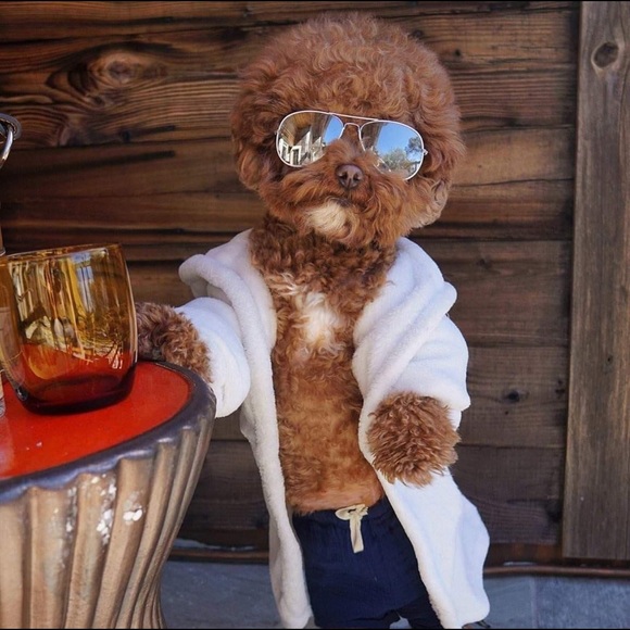 Meet your Posher, Corey - Picture 1 of 1